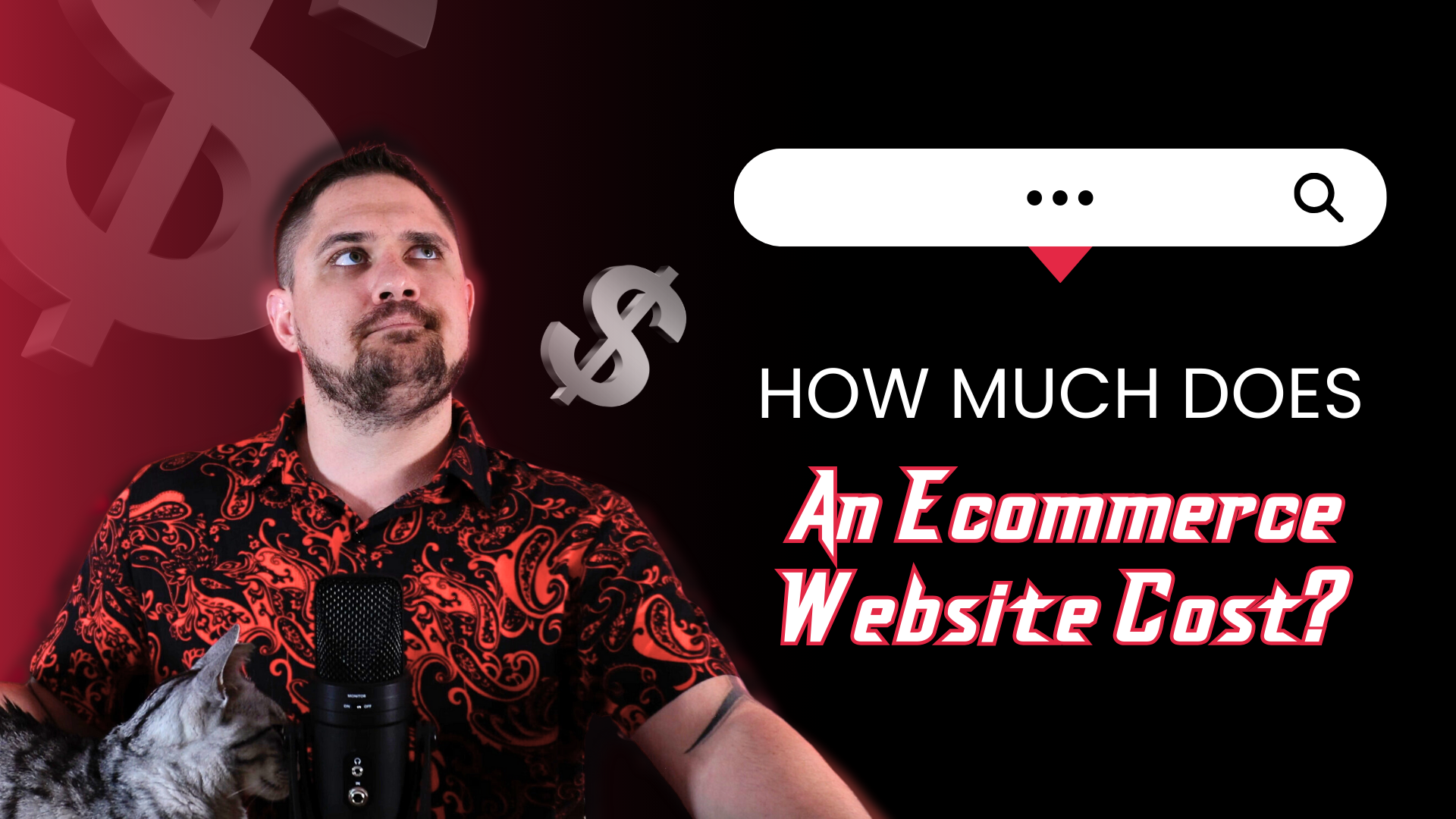 How much does an ecommerce website cost