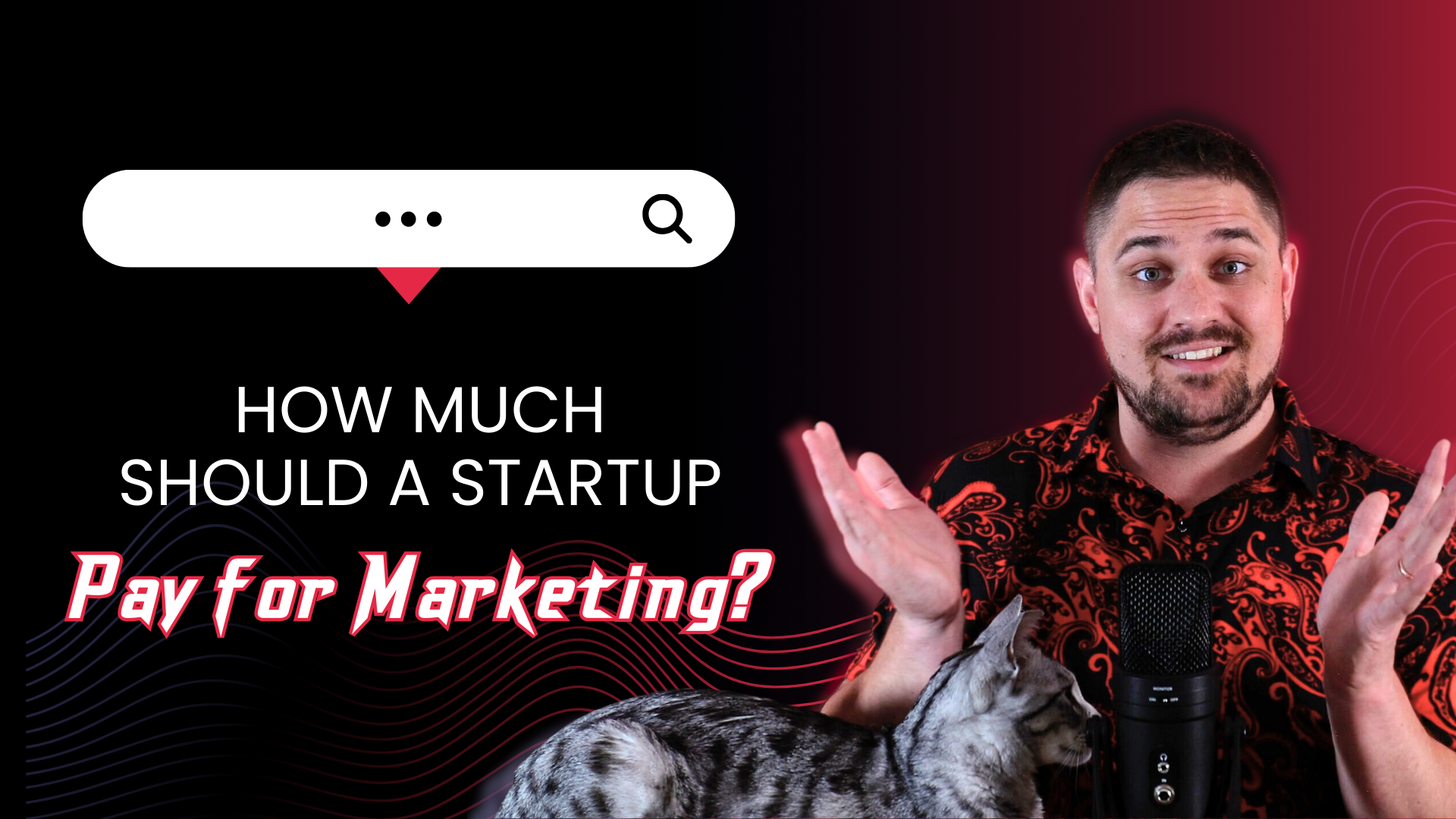 How much should a startup pay for marketing